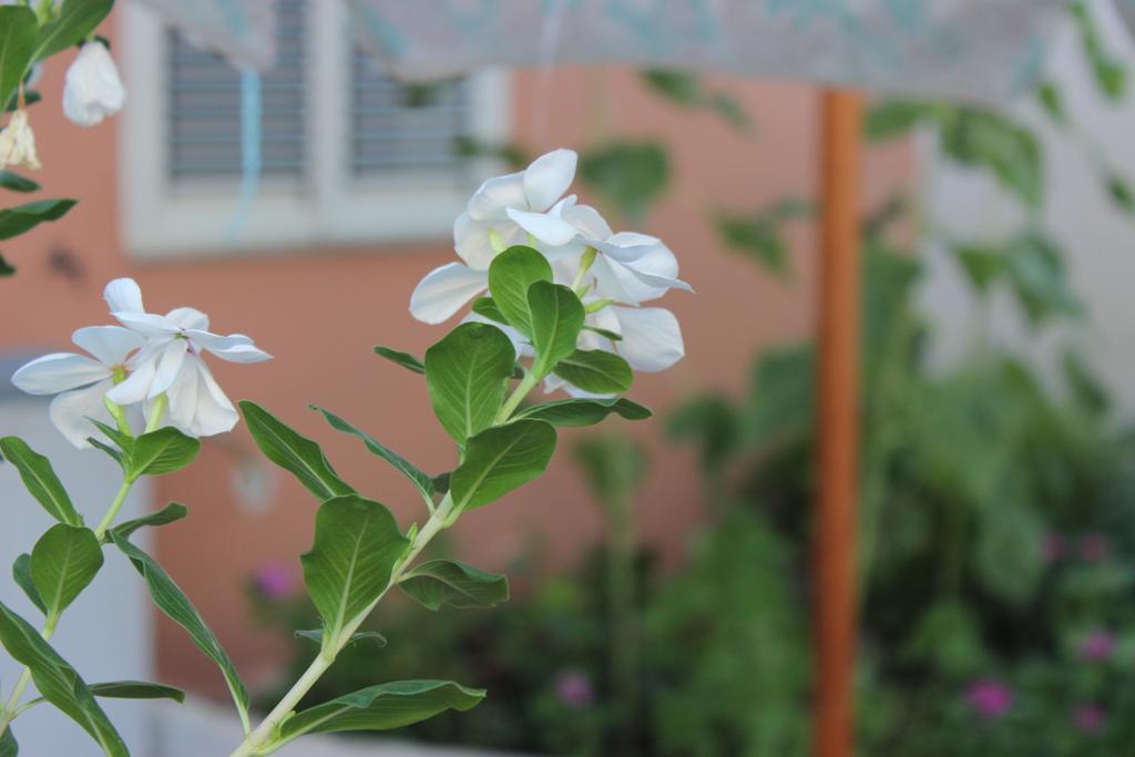Casa Dei Furnari Apartment Collepasso ภายนอก รูปภาพ
